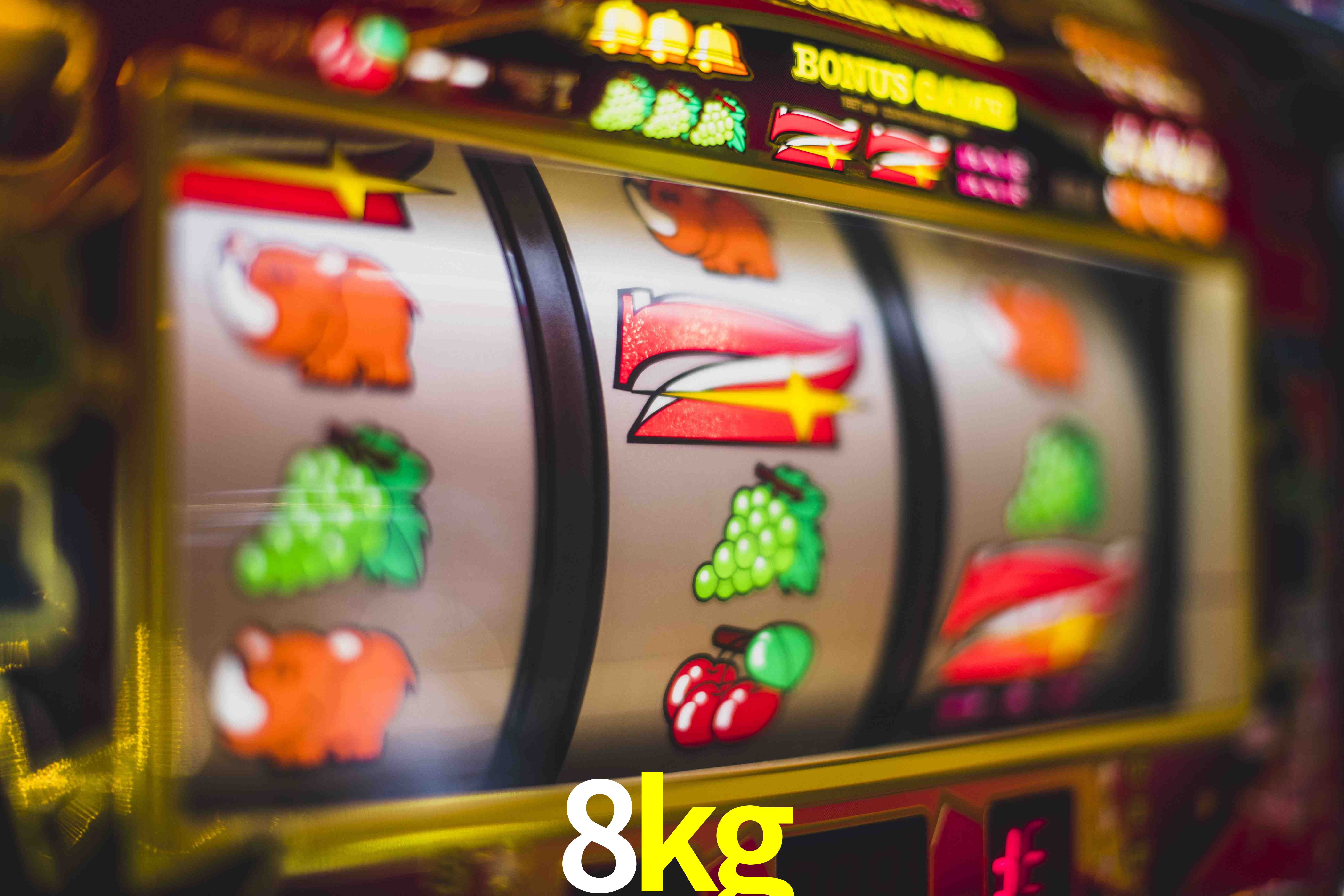 Sports Statistics 8kg